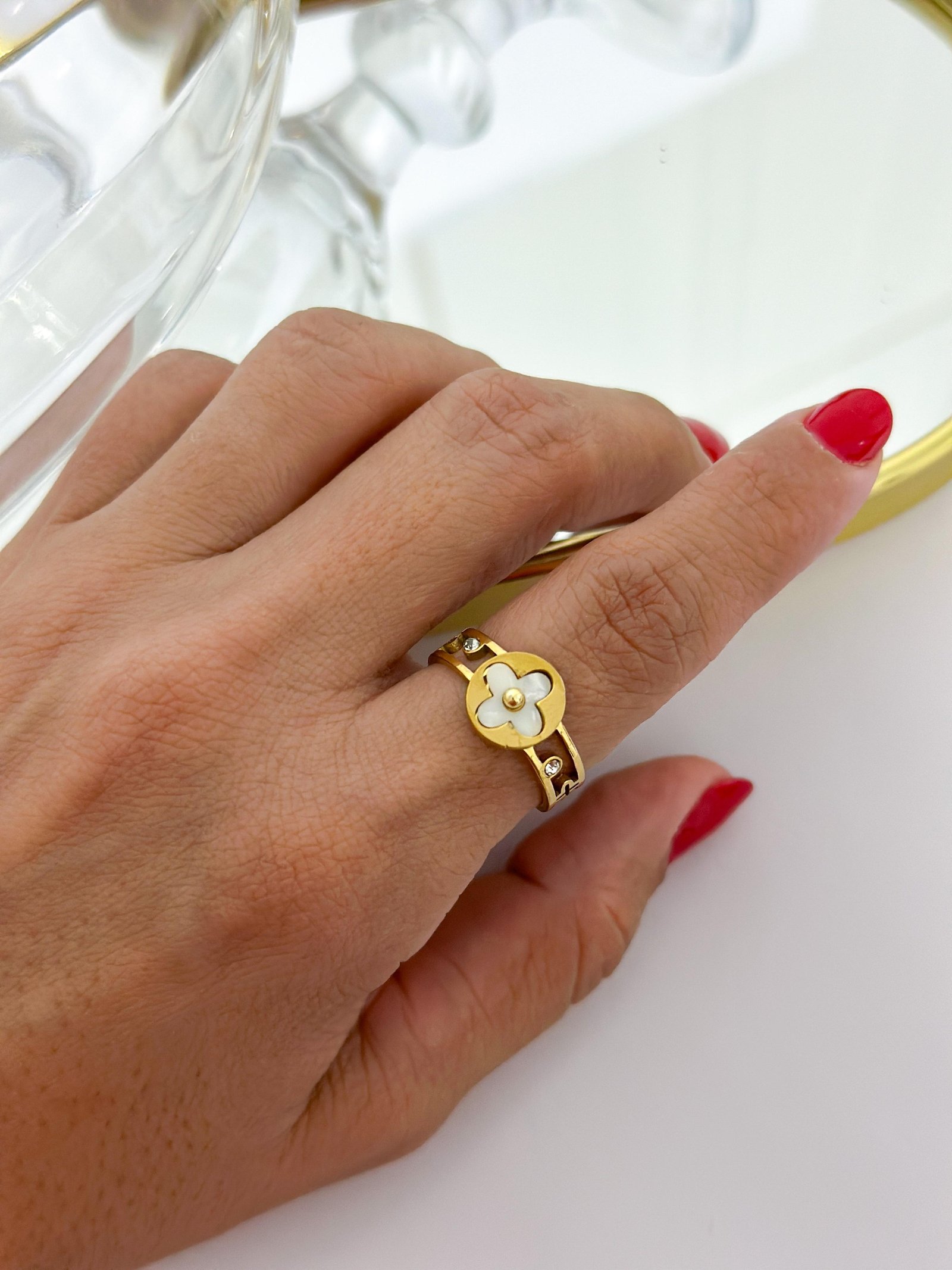 Anel Aço Inox Virginia Resinado Pequeno