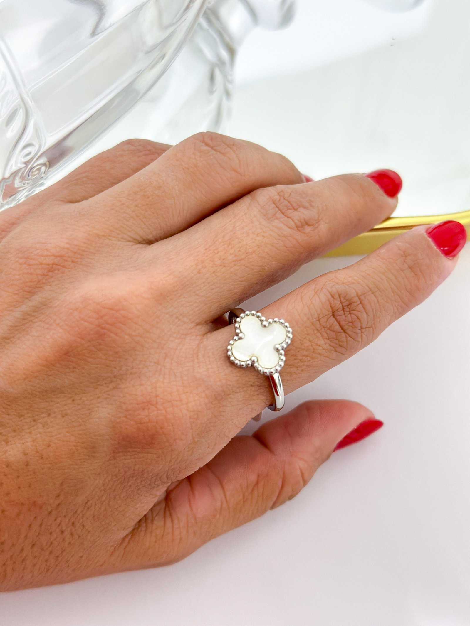 Anel Aço Inox Virginia Color Branco Prata 