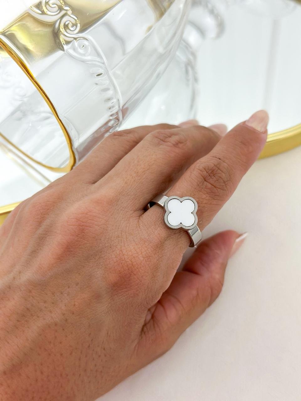 Anel Aço Inox Virginia Color Branco Prata